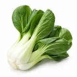 Pak choi – zdjęcie poglądowe