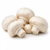 Pieczarka – zdjęcie poglądowe