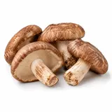 Shiitake – zdjęcie poglądowe