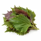 Liście shiso (pachnotka) – zdjęcie poglądowe